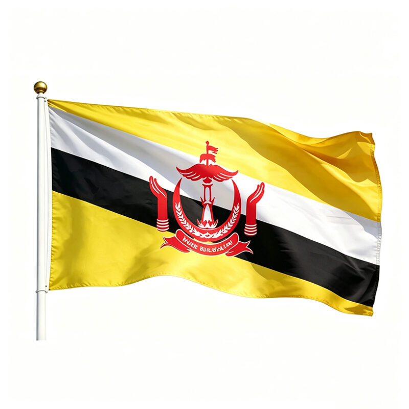 Printed Brunei Flag 3*5FT